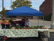 farmers market under tent