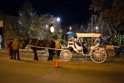 horse and stagecoach